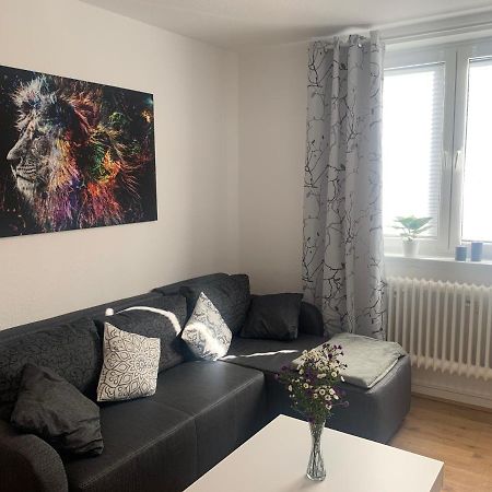 Grosse Moderne Ferienwohnung, Zentrale Ruhige Lage Kassel Esterno foto