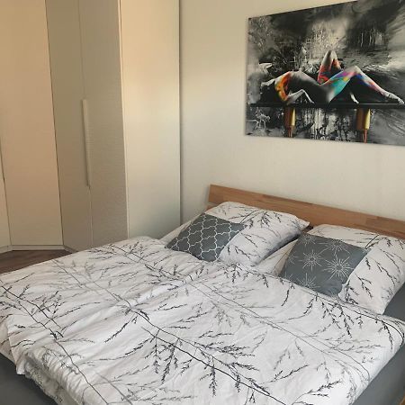 Grosse Moderne Ferienwohnung, Zentrale Ruhige Lage Kassel Esterno foto
