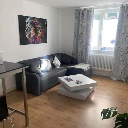 Grosse Moderne Ferienwohnung, Zentrale Ruhige Lage Kassel Esterno foto