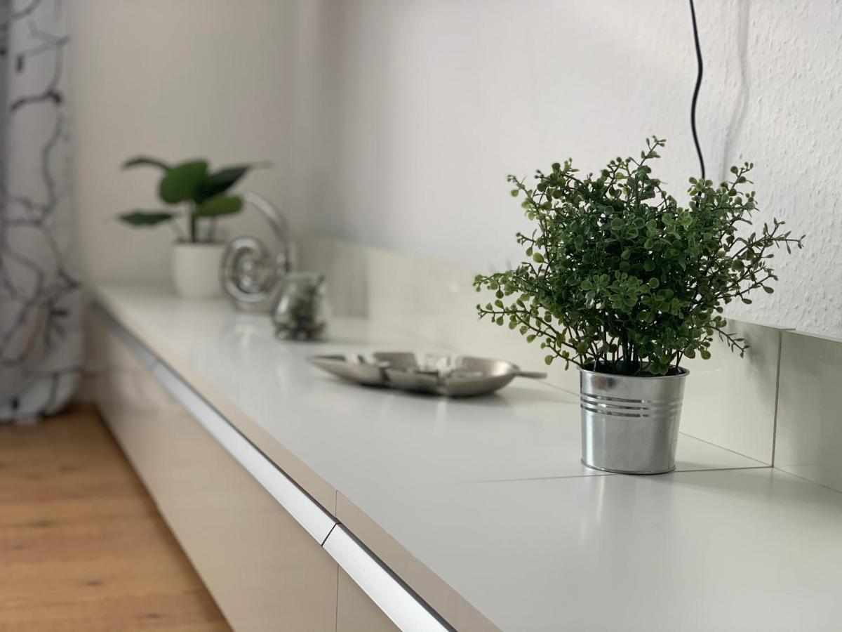 Grosse Moderne Ferienwohnung, Zentrale Ruhige Lage Kassel Esterno foto